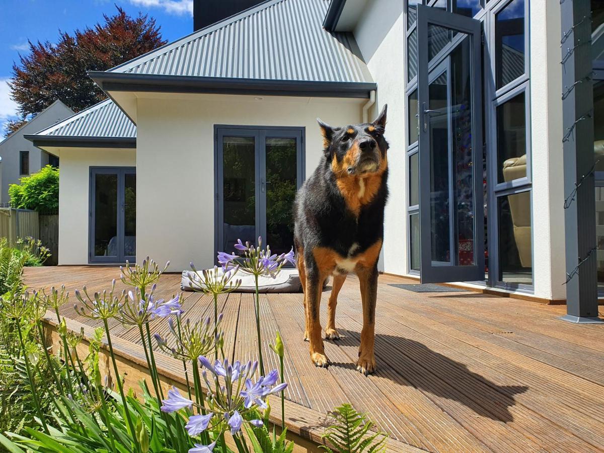 Christchurch Airport House Exteriér fotografie